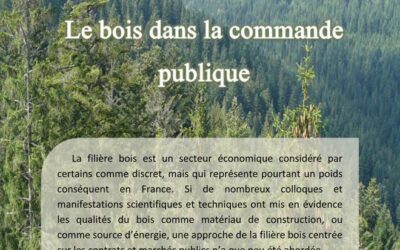 Le bois et le droit….