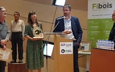 PRIX REGIONAL FIBOIS GRAND-EST POUR UN ENSEIGNANT DE L’ENSTIB