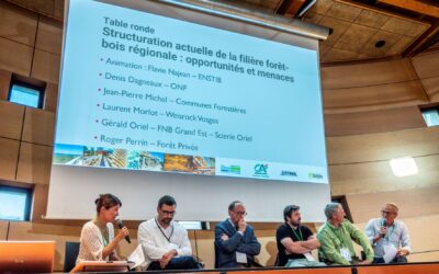 COMMENT LES ENJEUX ENVIRONNEMENTAUX IMPACTENT LA FORET ET LA CONSTRUCTION BOIS ?