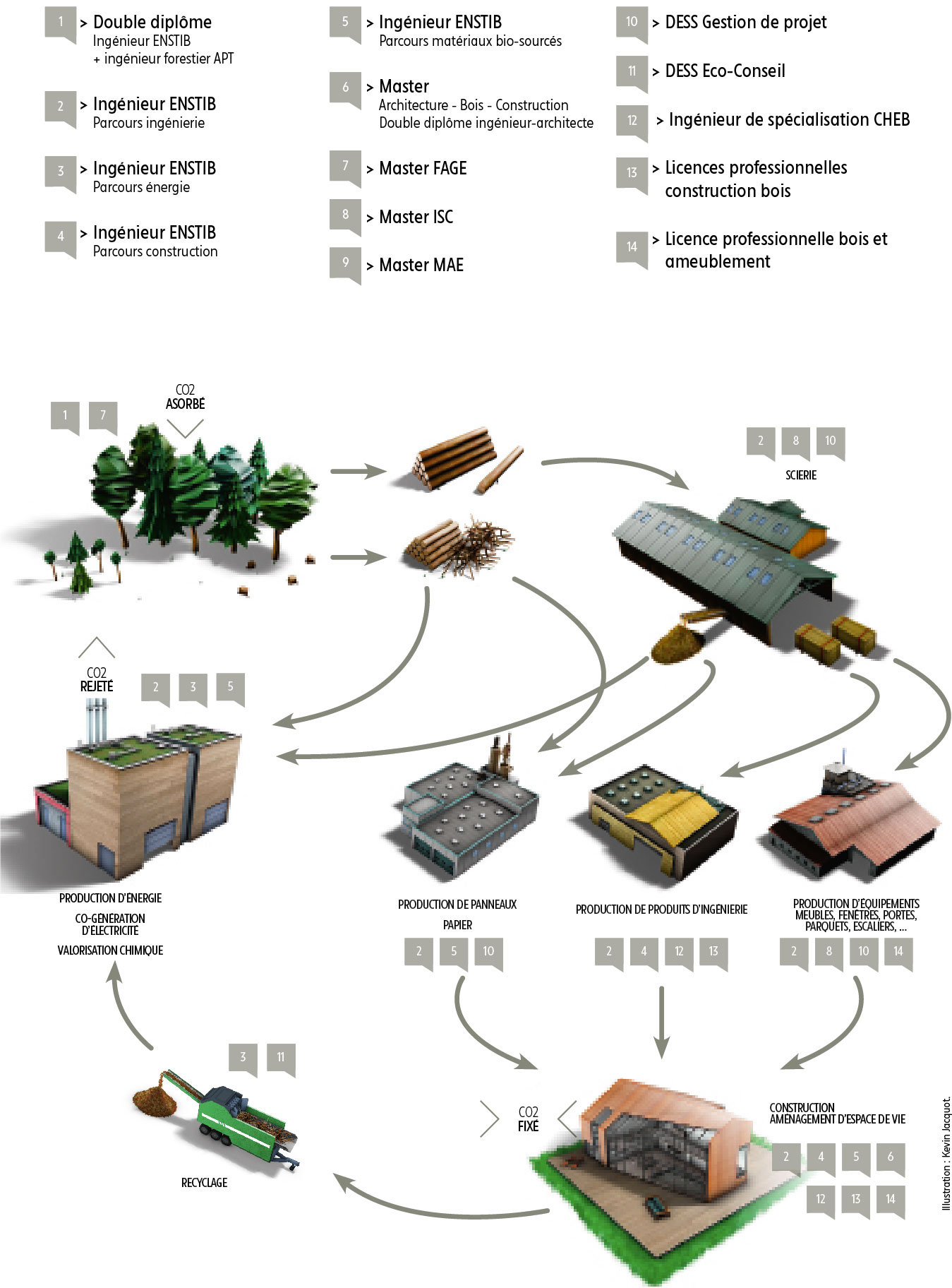 Schéma de l'économie circulaire de la filière bois