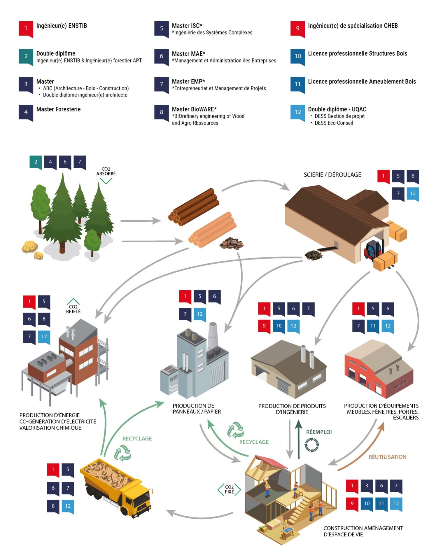 Schéma de l'économie circulaire de la filière bois