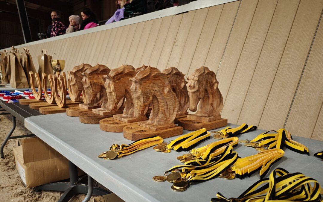 Des trophées Made in ENSTIB pour un concours de voltige